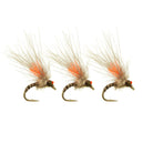 Antonio's Quill Midge