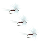 CDC Trico
