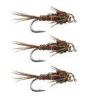 Pheasant Tail Tungsten Nymph