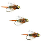 Rainbow Prince Nymph