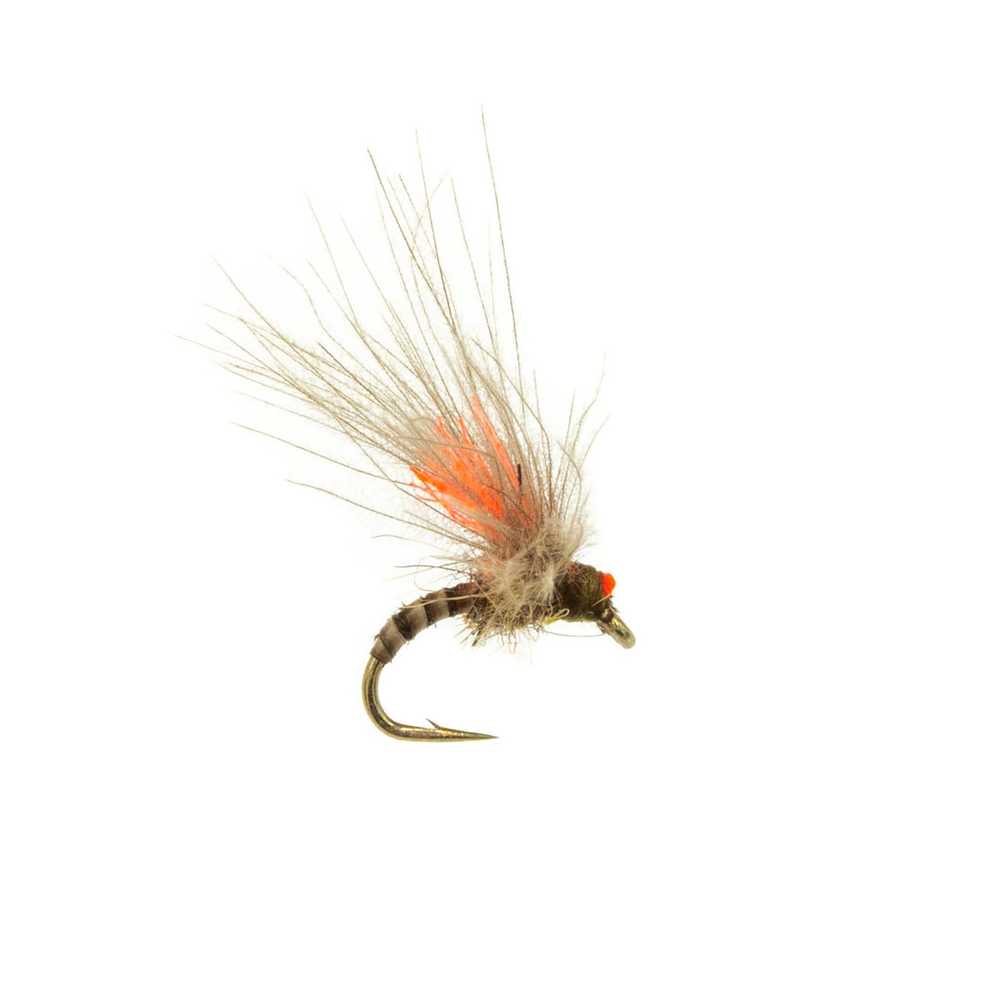 QUILL MIDGE