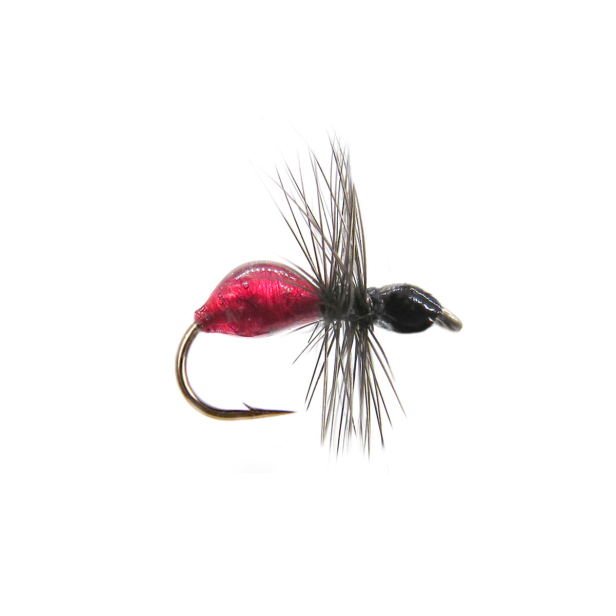 Hard body ant Fly Pattern