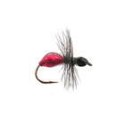 Hard body ant Fly Pattern