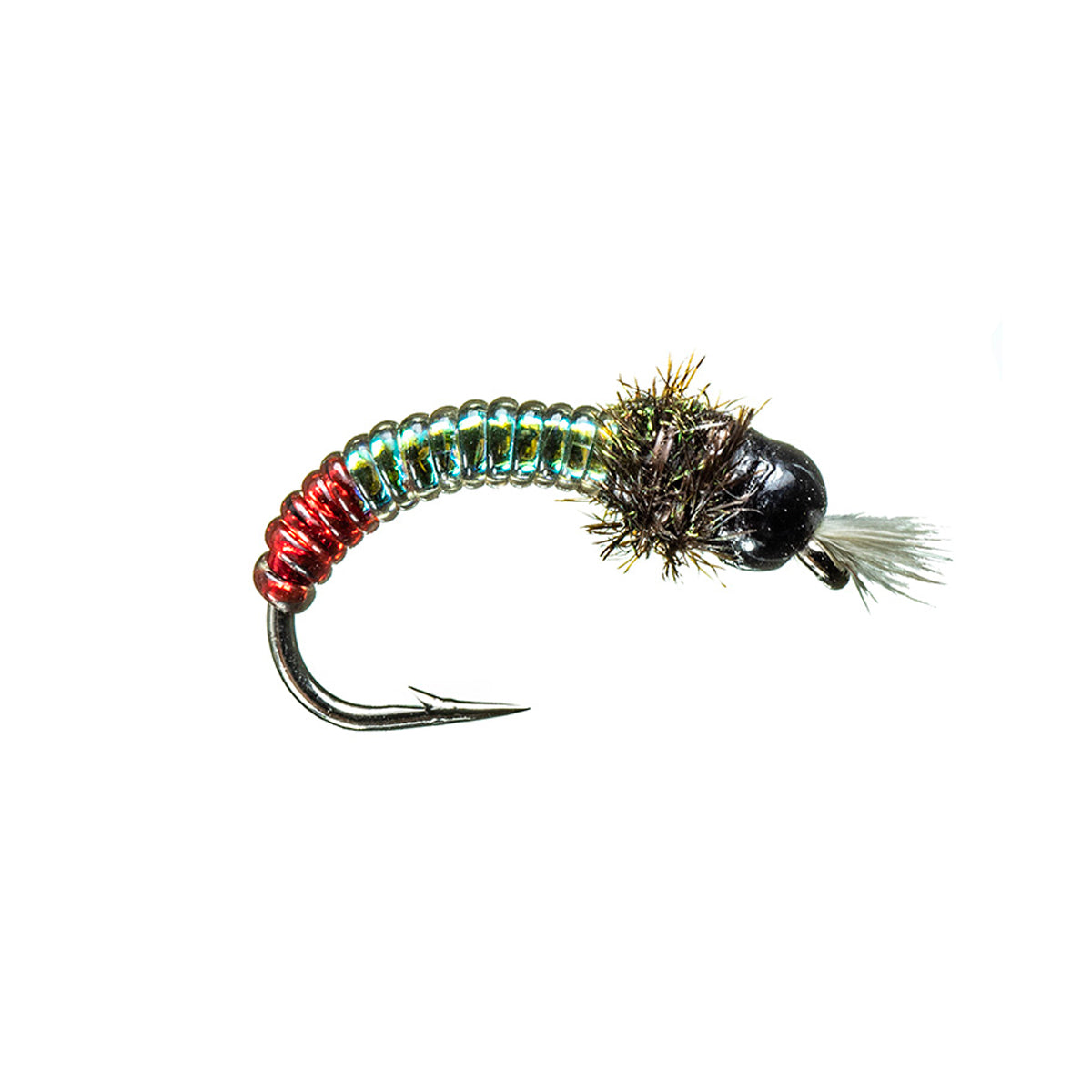 High Voltage Chironomid