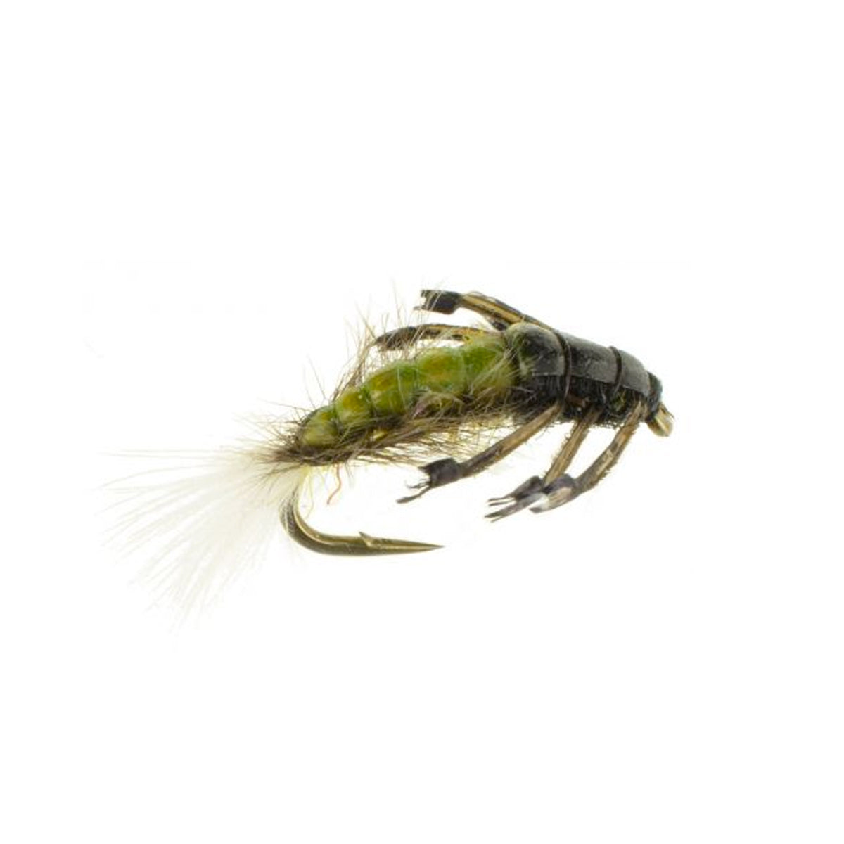 Hydropsyche Caddis Larva