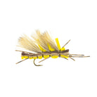 King Kong Stonefly