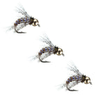 Bird Of Prey Nymph