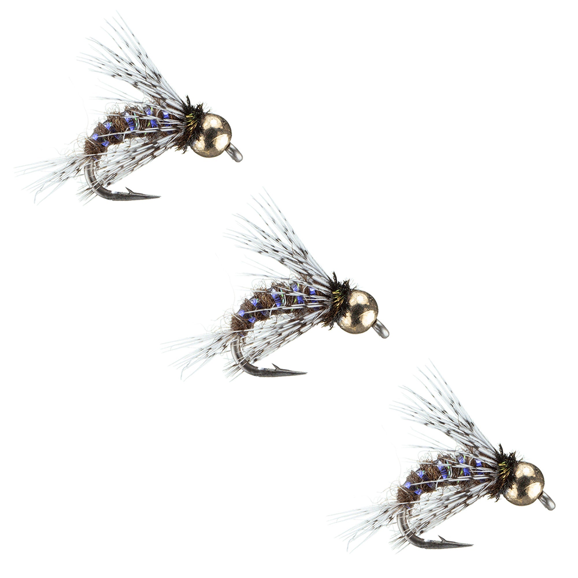Bird Of Prey Nymph