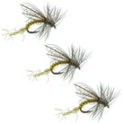 BWO Loop Wing Emerger