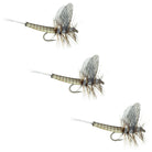 Lucent Wing Grey Drake Dry Fly