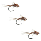 American Nymph Mottled Tungsten Nymph