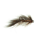 Brown Squirrel Leech