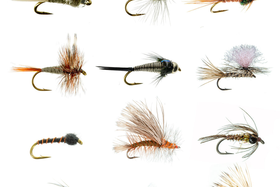 An assortment of finished trout flies on white — nymphs, a Pheasant Tail, a parachute dry, a caddis, and an egg pattern laid out in a grid