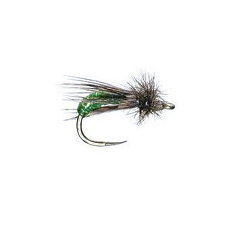 Barr's Graphic Caddis