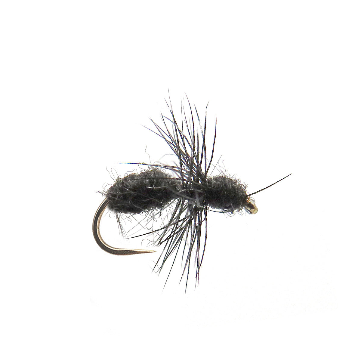 Black Ant Fly Pattern Colorado Fly Supply