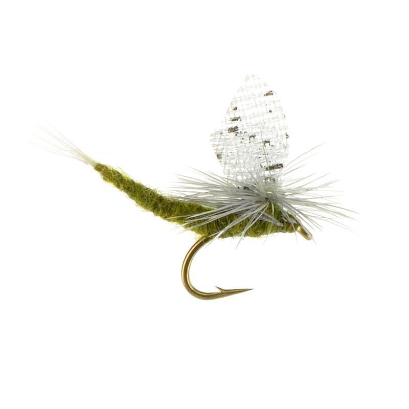 BLUE WINGED OLIVE EXTENDED BODY DRY FLY