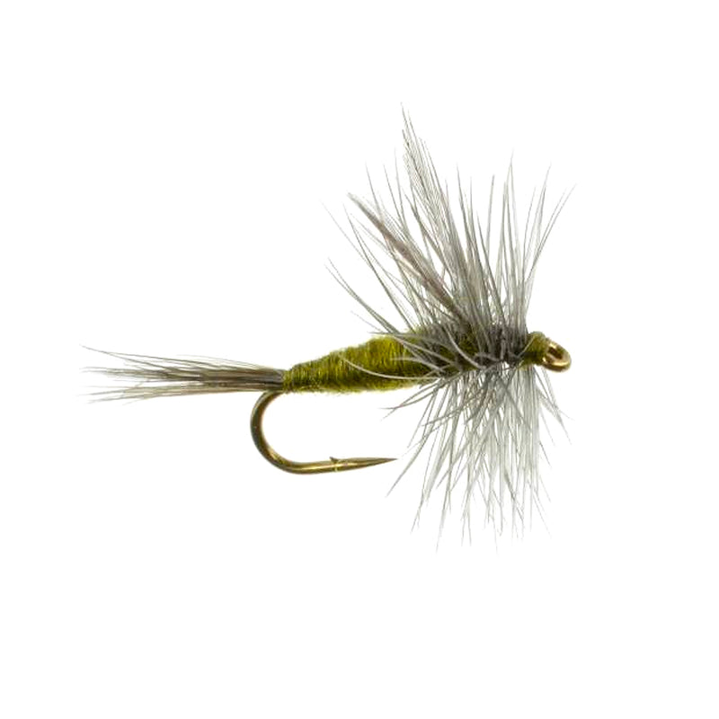 Fly Fishing Trout Assortment