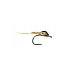 Clear Choice Mayfly - PMD