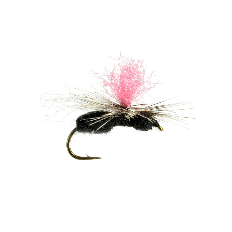 Hi Viz Parachute Ant