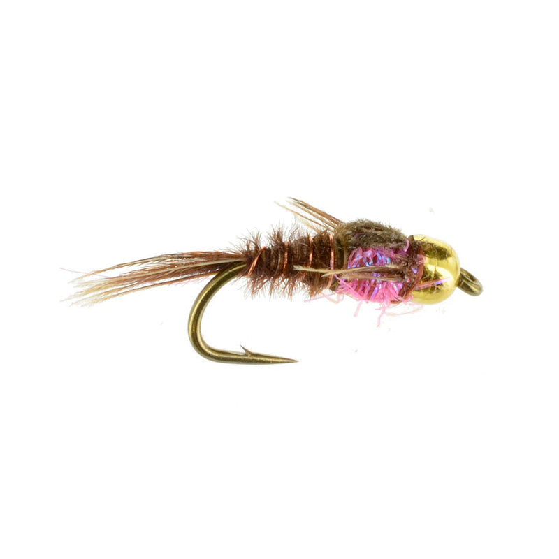 Pheasant Tail Hot Belly