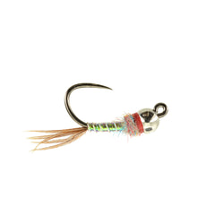 Jigged Rainbow Warrior