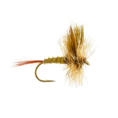 March Brown Western