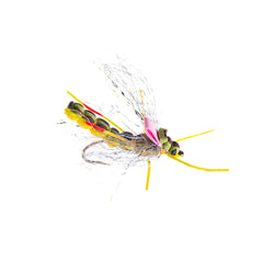 Morningwood Hopper