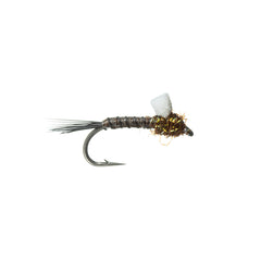 Fly Fishing Trout Assortment