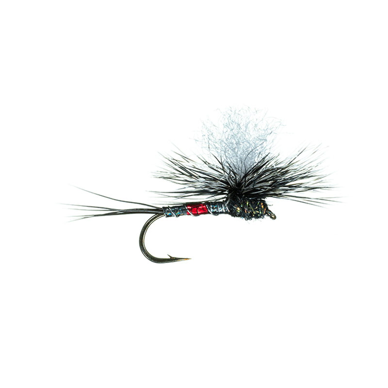 Para Wulff Diable Dry Fly