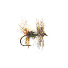Peacock Caddis Dry Fly Pattern