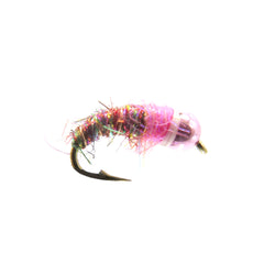 Rainbow Nymph Fly Pattern