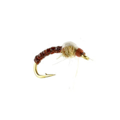Rootbeer Jailbird Midge