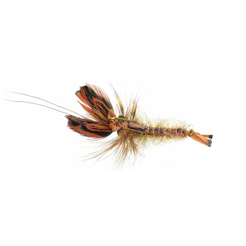 Soft Shell Crayfish