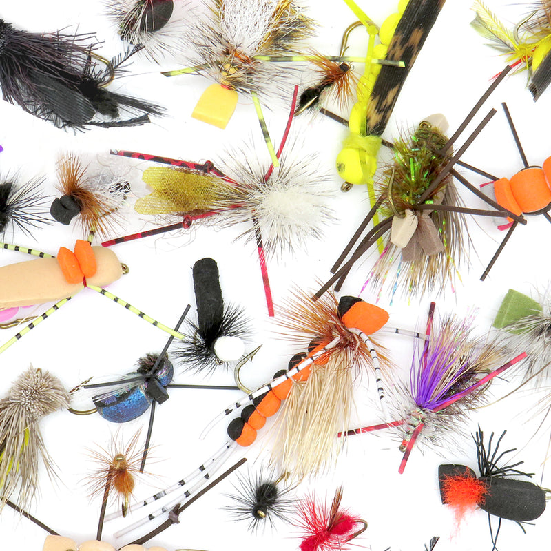 Terrestrial & Attractor Fly Assortment